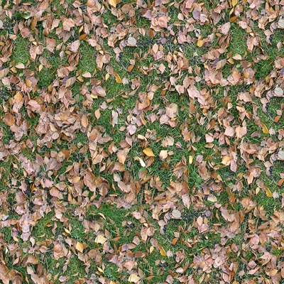 Seamless litter turf lawn ground