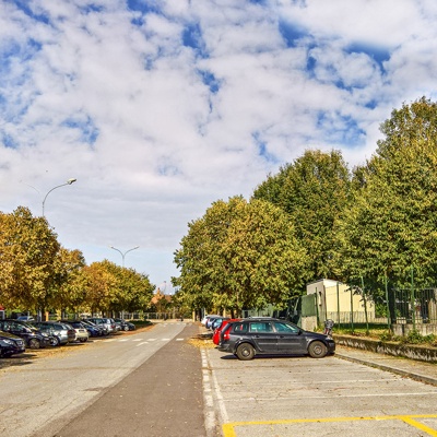 Autumn trees street pavement scenery