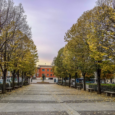 Autumn trees street pavement scenery