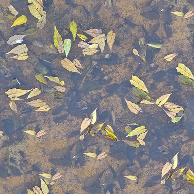 seamless river water flow water ripple water surface texture