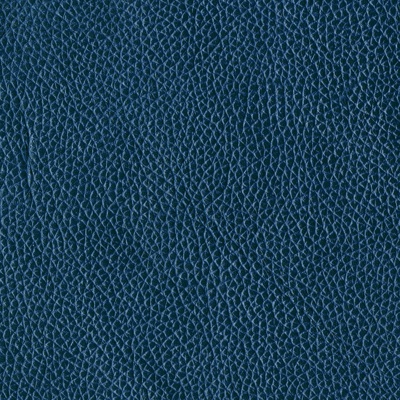 blue leather