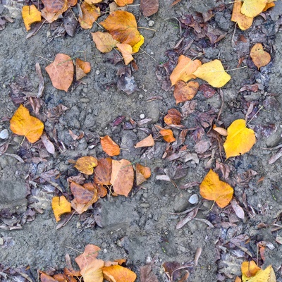 Seamless yellow dead branches and deciduous leaves turf grass lawn road ground