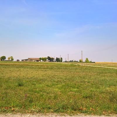 Rural landscape landscape