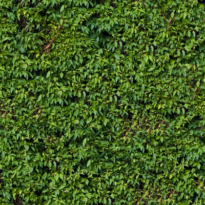 Seamless Green Landscape Grassland Shrub Plant Tree Fence Wall