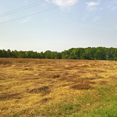 Rural landscape landscape