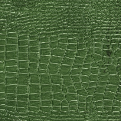 Green Crocodile Leather