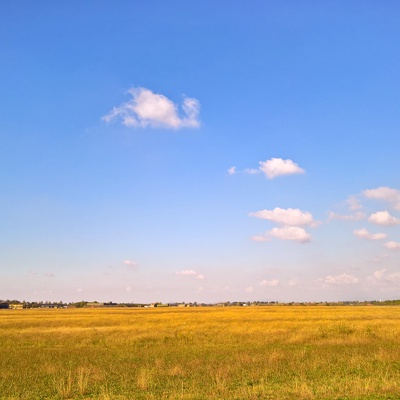 Rural landscape landscape