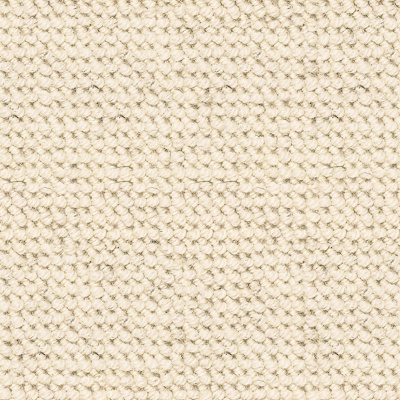 Seamless Modern Hotel Office Beige Coarse Texture Carpet Floor Mat