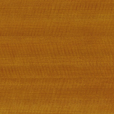 Steel Brush Wood Grain