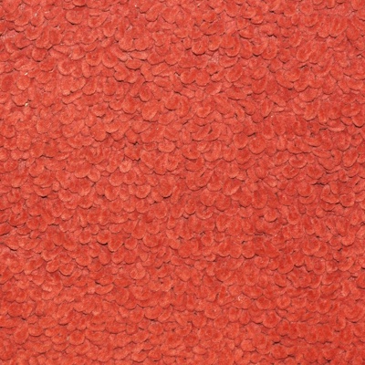 Red plush office carpet