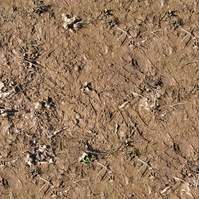 Seamless yellow wet dirt road ground