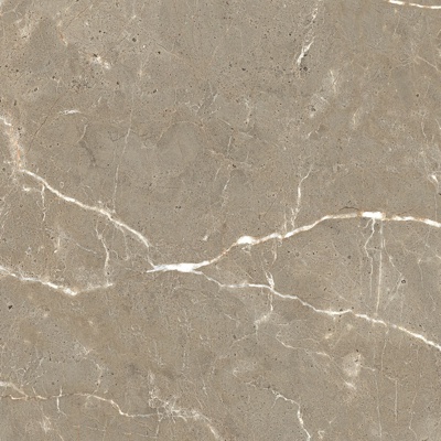 Roman gray marble