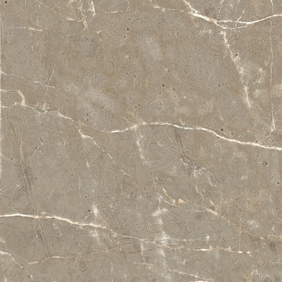 Roman gray marble