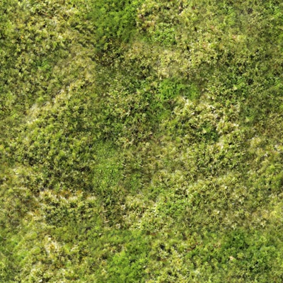 moss turf