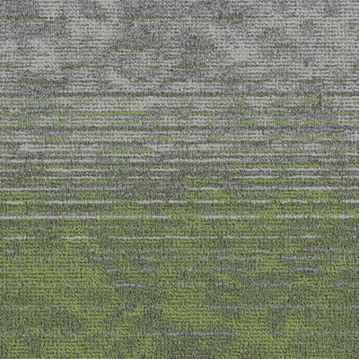 Green-gray gradient carpet