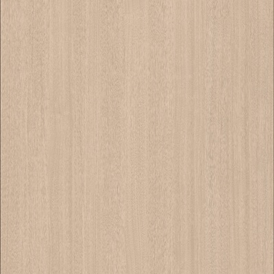 Light Wood Grain Panel