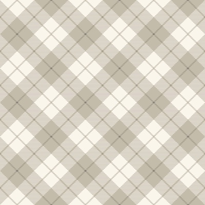 Plaid Cloth