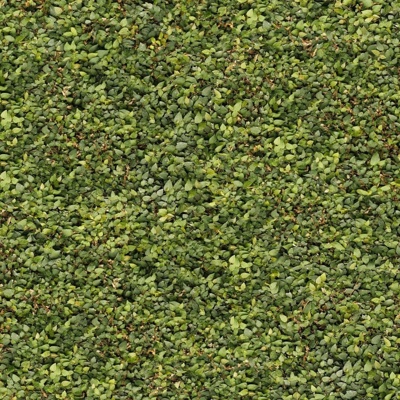 Plant wall