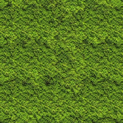 Moss wall