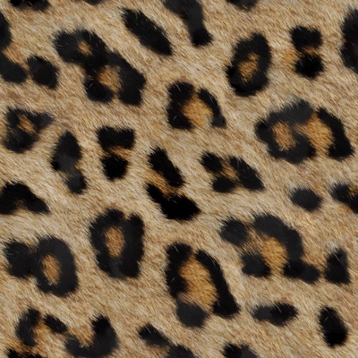 Seamless leopard animal fur fur leather textured faux fur