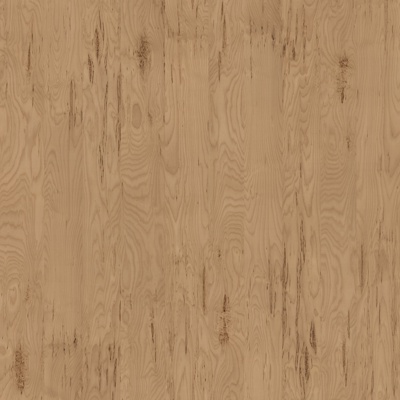 Fraxinus mandshurica wood grain