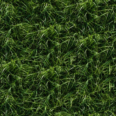 Seamless Green Sod Grass