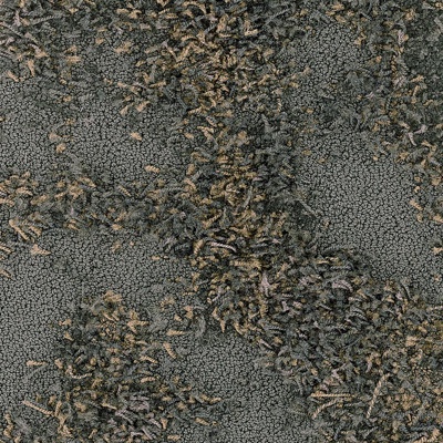 Black plush carpet