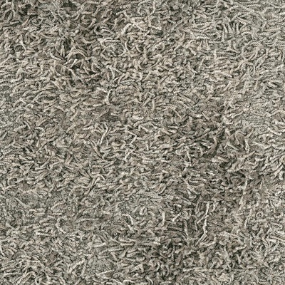 gray plush carpet