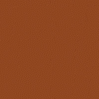 Seamless Hermes Orange Coarse Leather 7