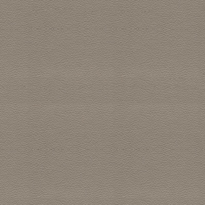 Seamless light gray fine grain leather