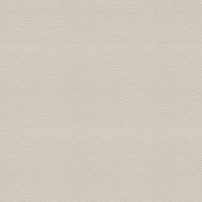 Seamless creamy-white fine-grain leather