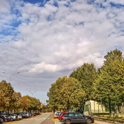 Autumn trees street pavement scenery