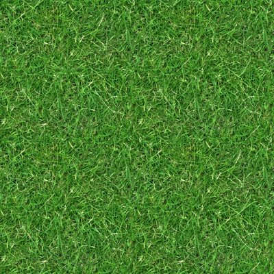 Seamless real green lawn grass turf