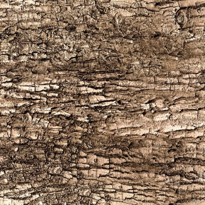 bark