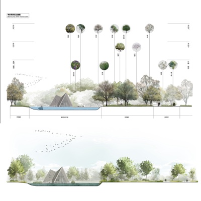 Section Analysis of Waterfront Landscape Facade