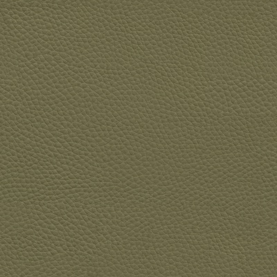 Seamless green matte textured leather