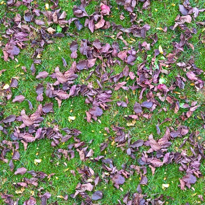 Seamless litter turf lawn ground