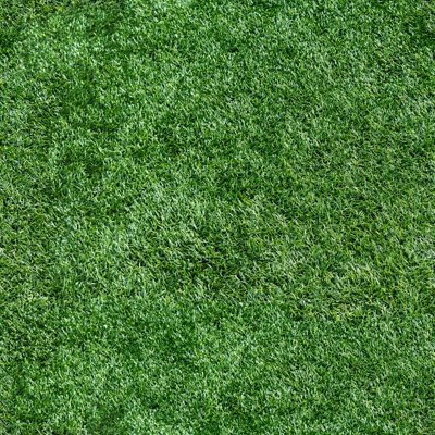 Seamless grass lawn turf