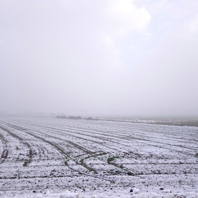 Rural landscape landscape