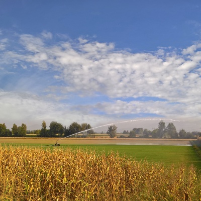 Rural landscape landscape