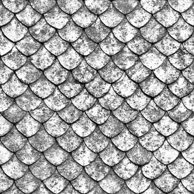 Wall fish scale porcelain texture black and white reflection