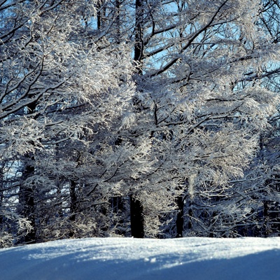 Daytime outdoor snow