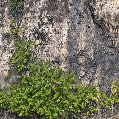 Grey culture stone wall rock stone wall mountain cliff