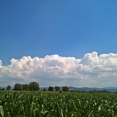 Rural landscape landscape