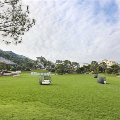 blue sky green space lawn forest landscape