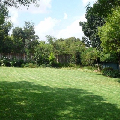 blue sky green space lawn forest landscape