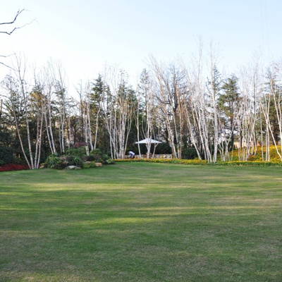 blue sky green space lawn forest landscape