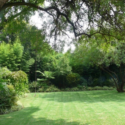 blue sky green space lawn forest landscape