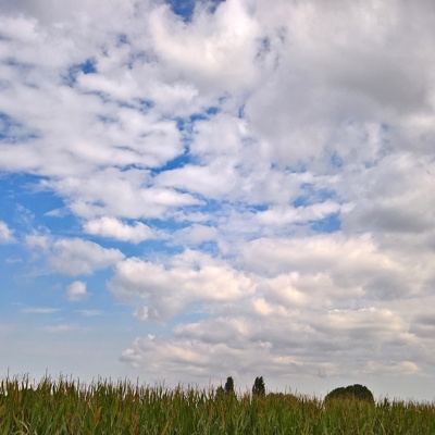 Cloudy sky landscape landscape