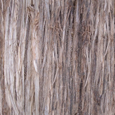 Seamless cracked dry bark trunk texture